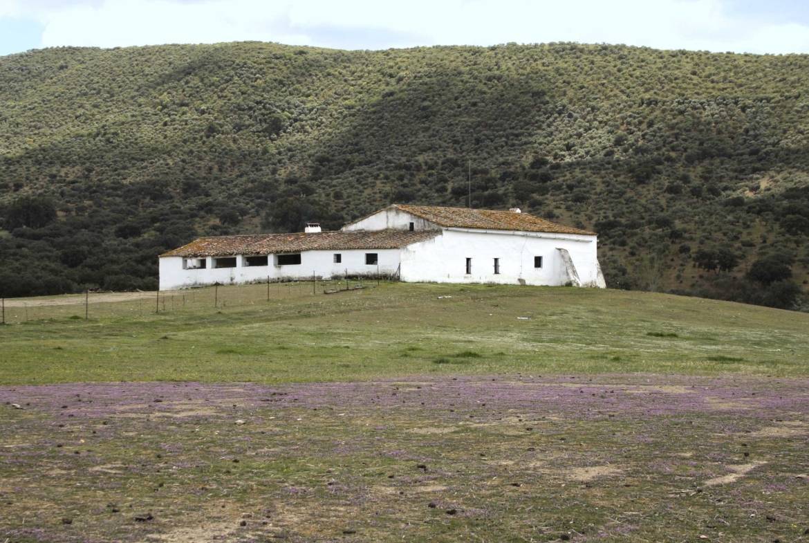 Cortijo en Sierra Morena